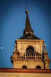 Jürgen Schadeberg - exposición en Alcalá de Henares